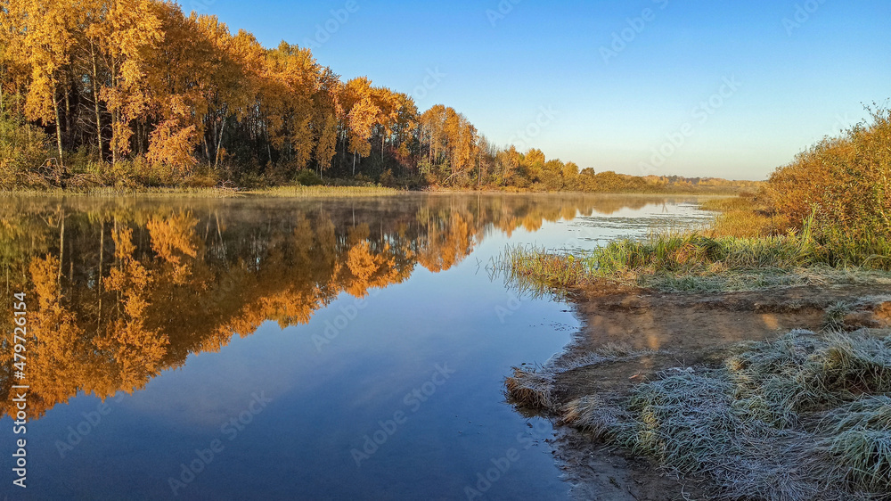 Golden autumn. The shore of the forest lake