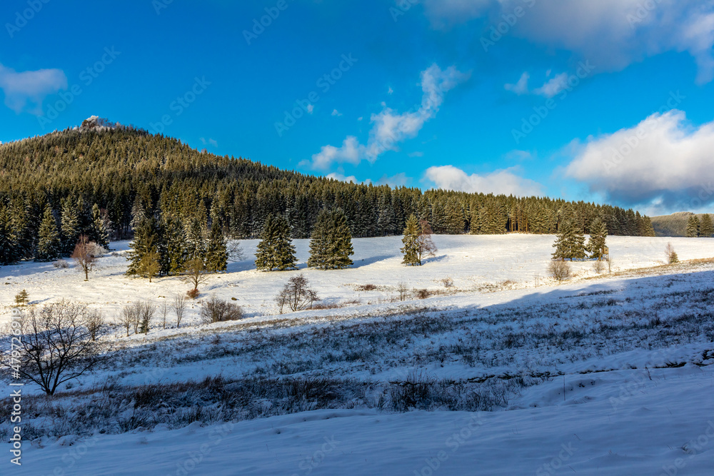 Winterspaziergang im Winterwunderland Thüringer Wald bei Steinbach-Hallenberg - Deutschland