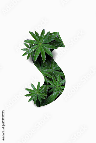 The English letter of the alphabet S, isolated on a white background. Stylized with a collage of a photo of a lupin flower leaf. Concept: graphic design, decorated font.