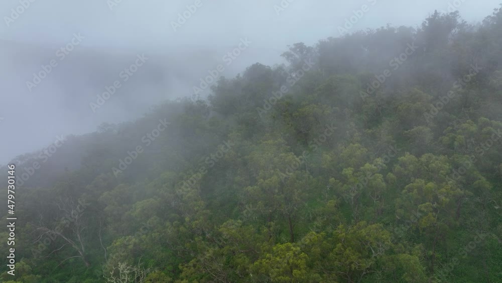 Aerial view of a stunning rain forest covered with thick mist after a late afternoon rain shower Aerial view of a stunning rain forest covered with thick mist after a late afternoon rain shower