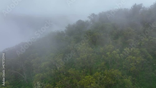 Aerial view of a stunning rain forest covered with thick mist after a late  afternoon rain shower photo