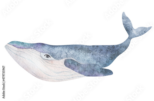 Watercolor cute purple whales on the white background. Sea Animal Hand draw art illustration. Graphic for fabric, t-shirt, postcard, greeting card, book, kids poster, sticker.