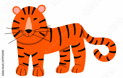 Fototapeta Naklejka Na Ścianę i Meble -  Vector illustration of a striped tiger in a flat style isolated on a white background.
