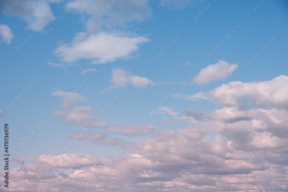 Pink fluffy clouds on the blue sky. Perfect morning sky in pastel shades. Sky background for your photos