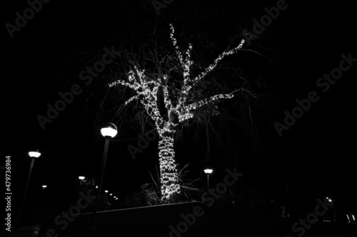 Christmas Light