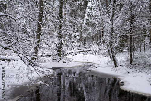 Beautiful snowy winter landscape in the Tyresta National Park, Sweden