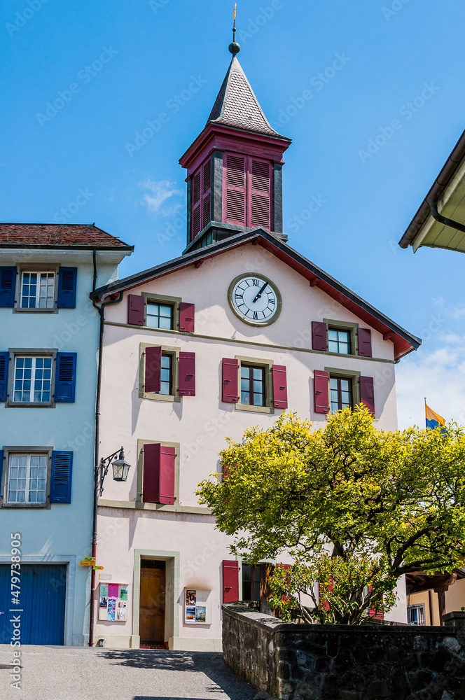 Rivaz, Dorf, Lavaux, Genfersee, Weinberge, Dorf, Winzerdorf, See, Seeufer, Wanderweg, Weinberg-Terrassen, Weinbauer, Frühling, Waadt, Schweiz