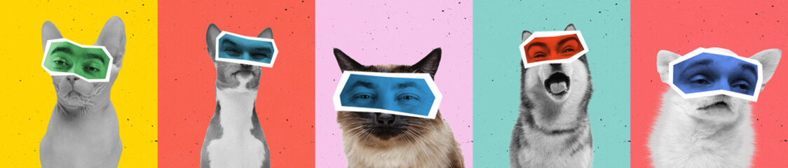 Contemporary art collage with bw portraits of dogs and cats with male eyes isolated over colored background. Animals with human emotions