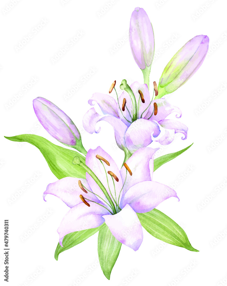 Naklejka premium Bouquet white lilies, pink lilies, flowers and buds watercolor flower arrangement