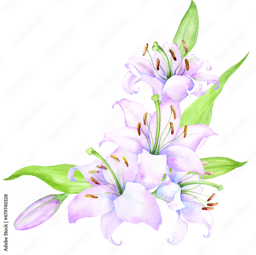 Fototapeta premium Bouquet white lilies, pink lilies, flowers and buds watercolor flower arrangement