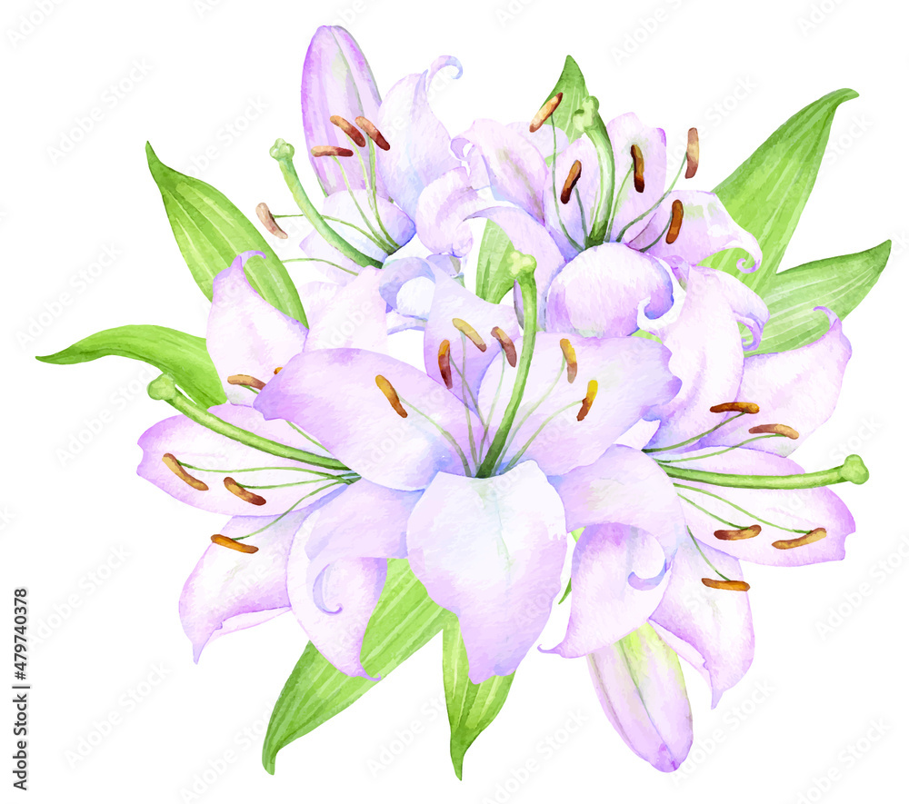 Naklejka premium Bouquet white lilies, pink lilies, flowers and buds watercolor flower arrangement