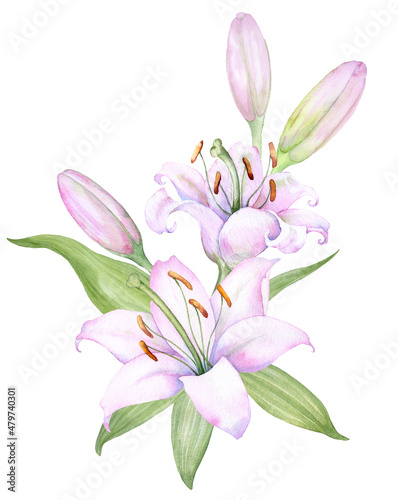 Bouquet white lilies, pink lilies, flowers and buds watercolor flower arrangement