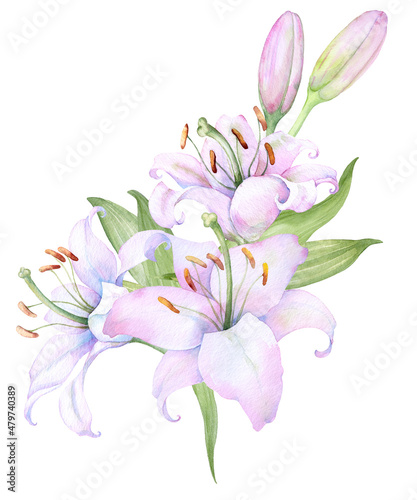Fototapeta Naklejka Na Ścianę i Meble -  Bouquet white lilies, pink lilies, flowers and buds watercolor flower arrangement