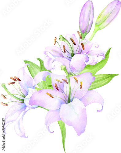 Bouquet white lilies  pink lilies  flowers and buds watercolor flower arrangement