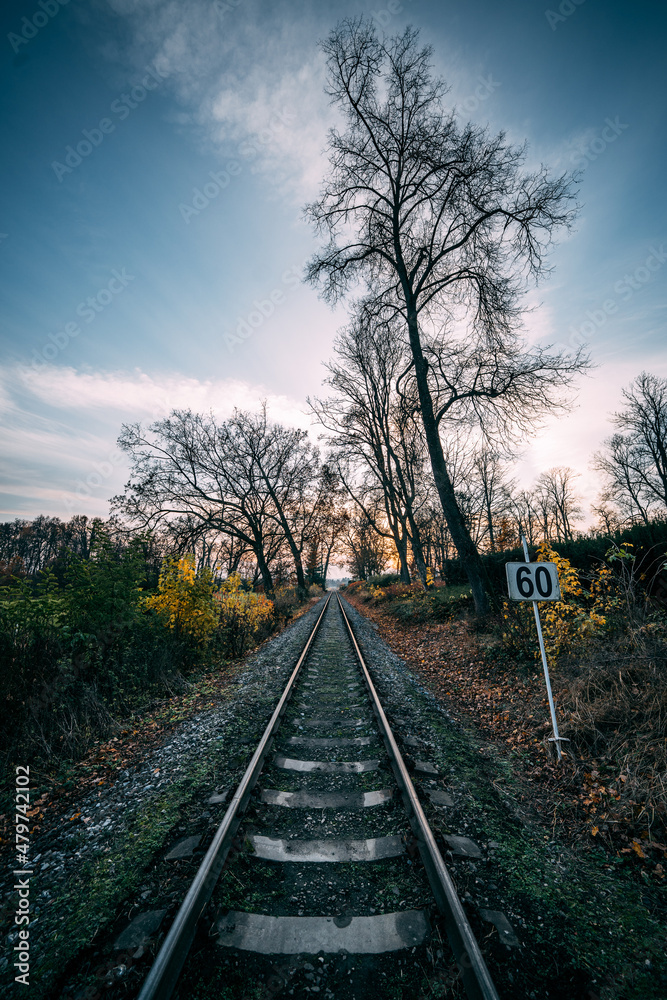 Obraz premium railroad tracks in the morning with speed sign