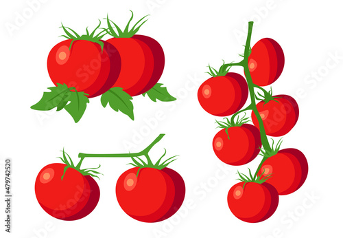 Fresh branches tomato with green leaf in cartoon style. Vector tomato isolated on a white background.