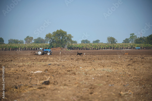 Indian farmer working with tractor in agriculture field.