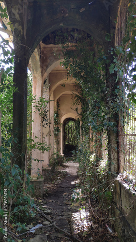 Gallery with columns overgrown with ivy. Abandoned buildings. Stalinist Empire style.
