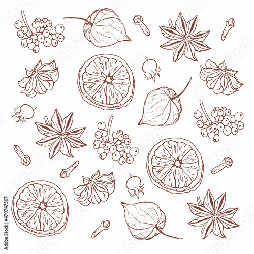 Dried orange, badian and cloves pattern, hand drawn style photo