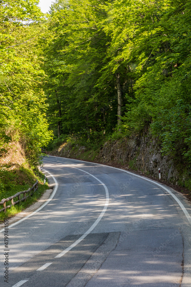 Obraz premium Road number 1 near Plitvice lakes, Croatia