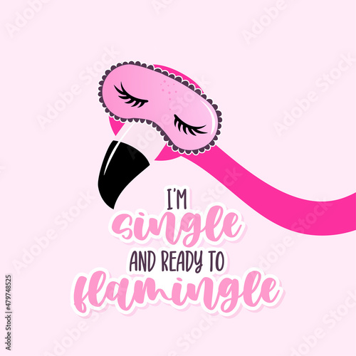 I'm single and ready to flamingle - Valentine's Day hand drawn illustration with two Flamingo couple in love. Handmade lettering print. Vector adorable illustration with cute birds with tangled neck.  photo