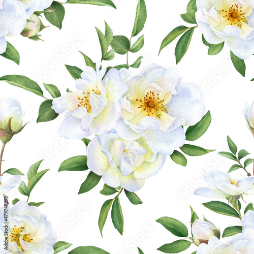 Seamless floral pattern with bouquets of the wild white roses, buds and green leaves hand drawn in watercolor isolated on a white background. Watercolor floral pattern. 