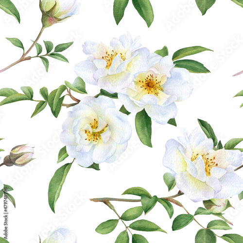 Seamless floral pattern with bouquets of the wild white roses, buds and green leaves hand drawn in watercolor isolated on a white background. Watercolor floral pattern. 