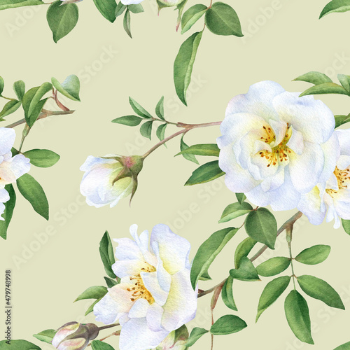 Seamless floral pattern with bouquets of the wild white roses, buds and green leaves hand drawn in watercolor isolated on a light green background. Watercolor floral pattern.   © Tatiana