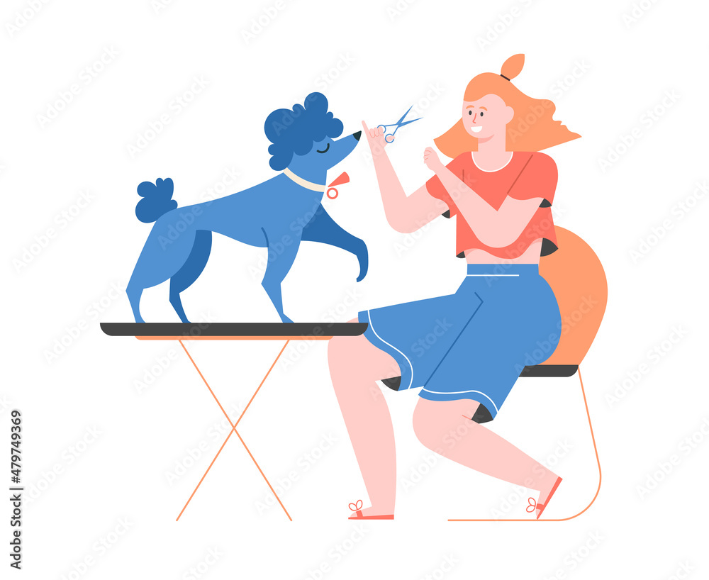 Girl with scissors cuts a poodle. Groomer at home. Pet hair care. Dog hairstyles and preparation for the show. Vector flat illustration. - obrazy, fototapety, plakaty 