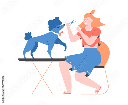 Girl with scissors cuts a poodle. Groomer at home. Pet hair care. Dog hairstyles and preparation for the show. Vector flat illustration.