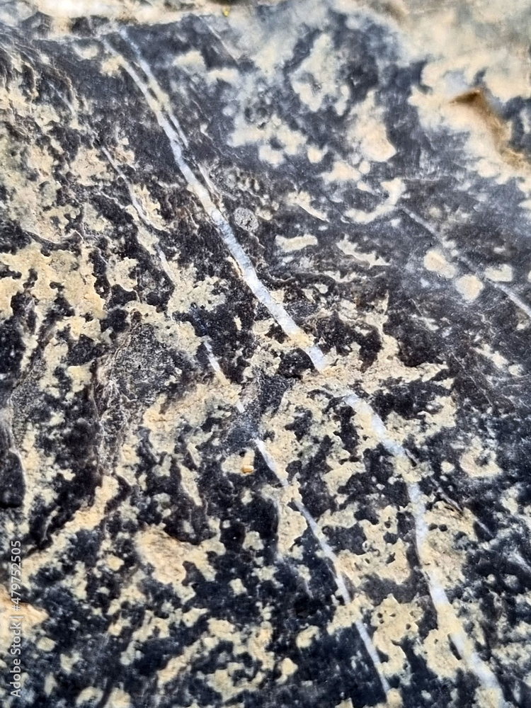 Fototapeta premium stone texture and veins on it close-up