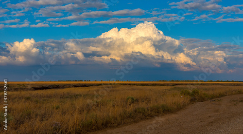 clouds in blue sky over yellow field