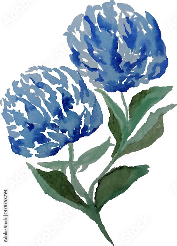 Blue Flowers Vector Watercolor Florals isolated on white