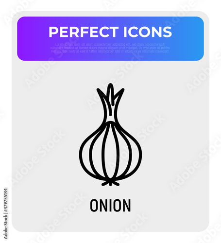 Onion thin line icon. Vegetable, flovouring. Healthy organic food. Vector illustration. photo