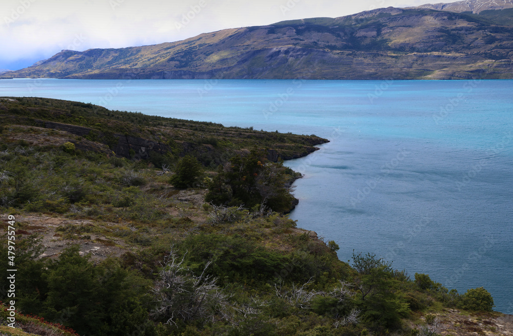 Patagonian landscape with Lake Toro in the background, Chile