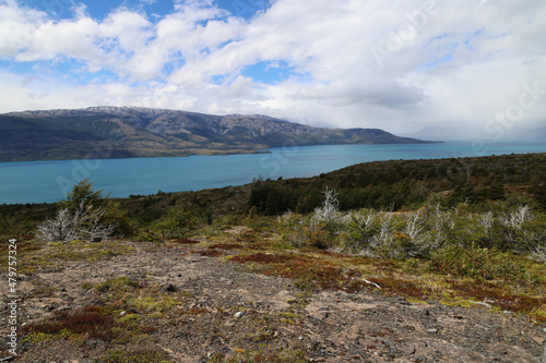 Patagonian landscape with Lake Toro in the background, Chile © Stefano