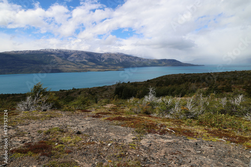 Patagonian landscape with Lake Toro in the background, Chile