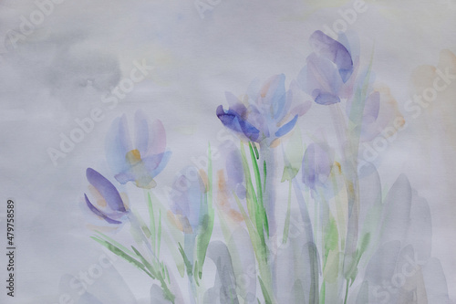 Crocuses on white snow fine art. Spring flowers background. Pastel colors wallpaper with copy space. Simple delicate artwork. Effortlessness concept.