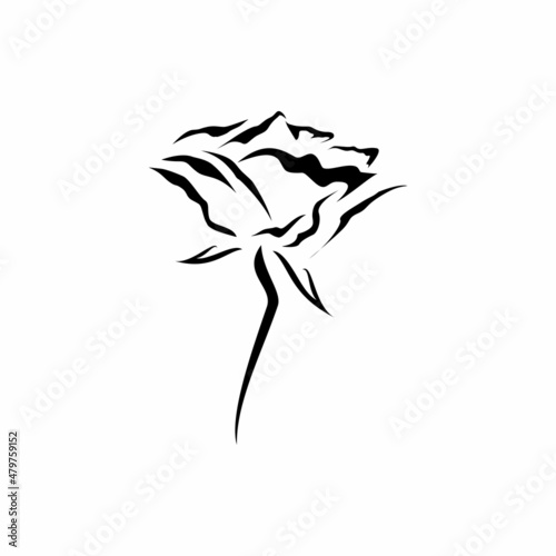 Wallpaper Mural abstract silhouette rose Torontodigital.ca