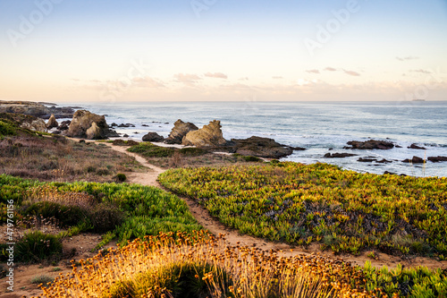 Beautiful landscape and seascape with rock formation in Samoqueira Beach, Alentejo, Portugal photo