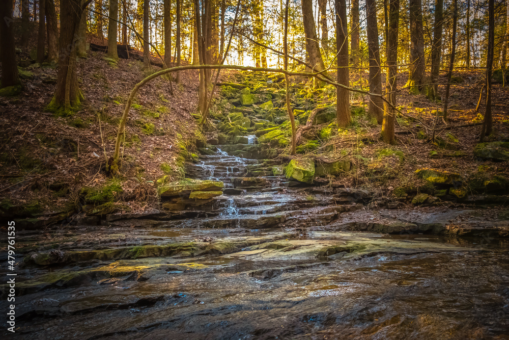 A small stream trickles down to the creek along the Fiery Gizzard Trail on the South Cumberland Plateau in Tennessee. A small stream trickles down to the creek along the Fiery Gizzard Trail on the South Cumberland Plateau in Tennessee.