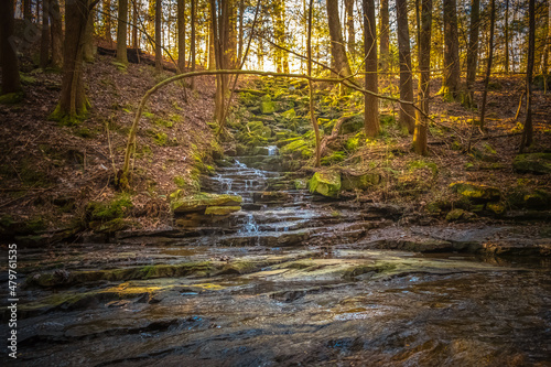 Tableau sur toile A small stream trickles down to the creek along the Fiery Gizzard Trail on the South Cumberland Plateau in Tennessee