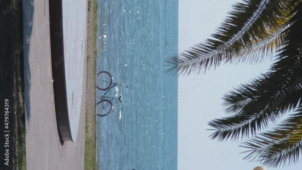 Vertical video. Beautiful View of Tropical Seaside Promenade with Big Palm Tree and Retro Bicycle by the Sea. Concept of Holidays, Vacations at Sea and Travel Concept Vertical video. Beautiful View of Tropical Seaside Promenade with Big Palm Tree and Retro Bicycle by the Sea. Concept of Holidays, Vacations at Sea and Travel Concept