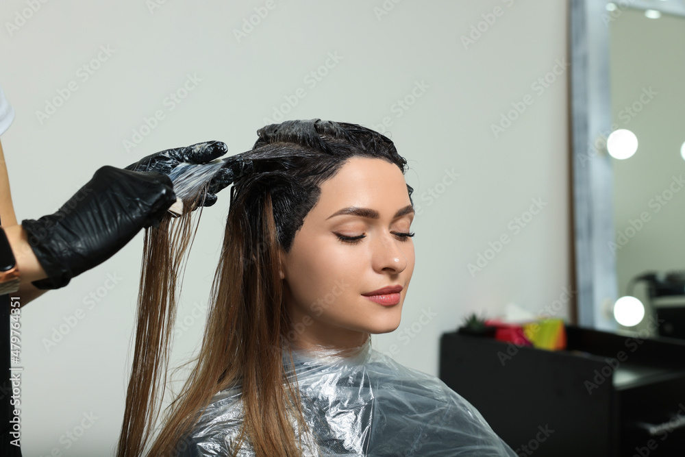 Fototapeta premium Professional hairdresser dyeing client's hair in beauty salon