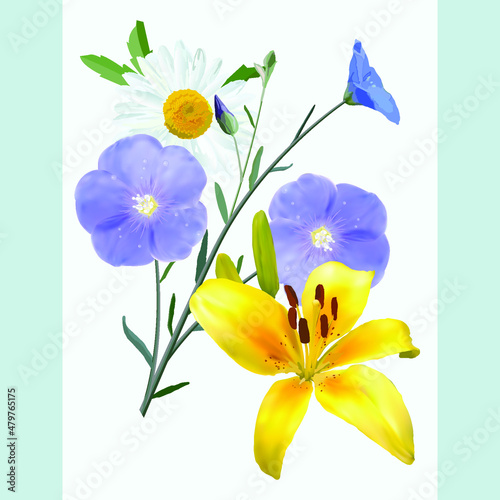 Vászonkép White Daisy flower, yellow Lily, flax flowers and inflorescences, postcard
