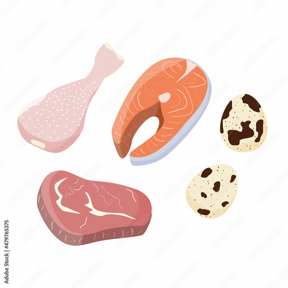 Protein products. Meat, chicken, eggs, fish and seafood. Healthy eating. Stock vector flat cartoon illustration on a white background.