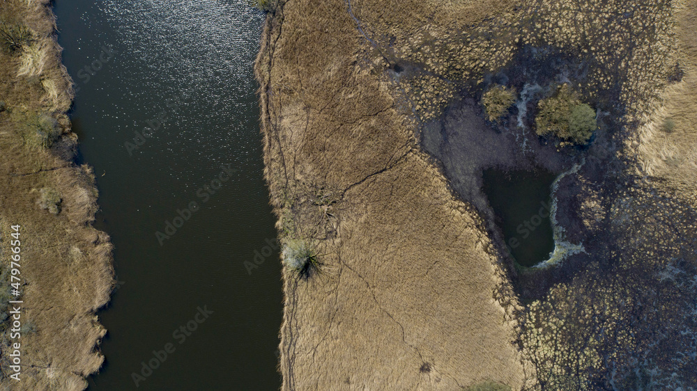 The oxbow lakes of the Odra River near the Kamieniec in Poland