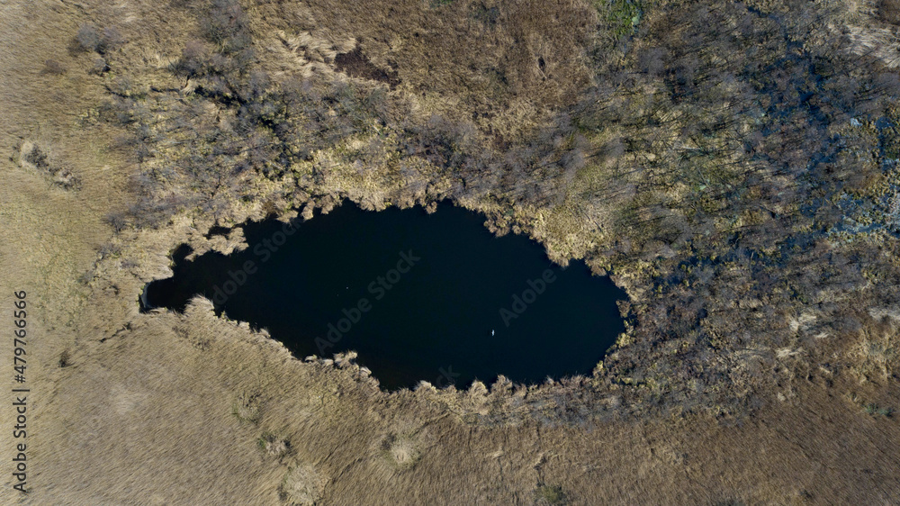 The oxbow lakes of the Odra River near the Kamieniec in Poland