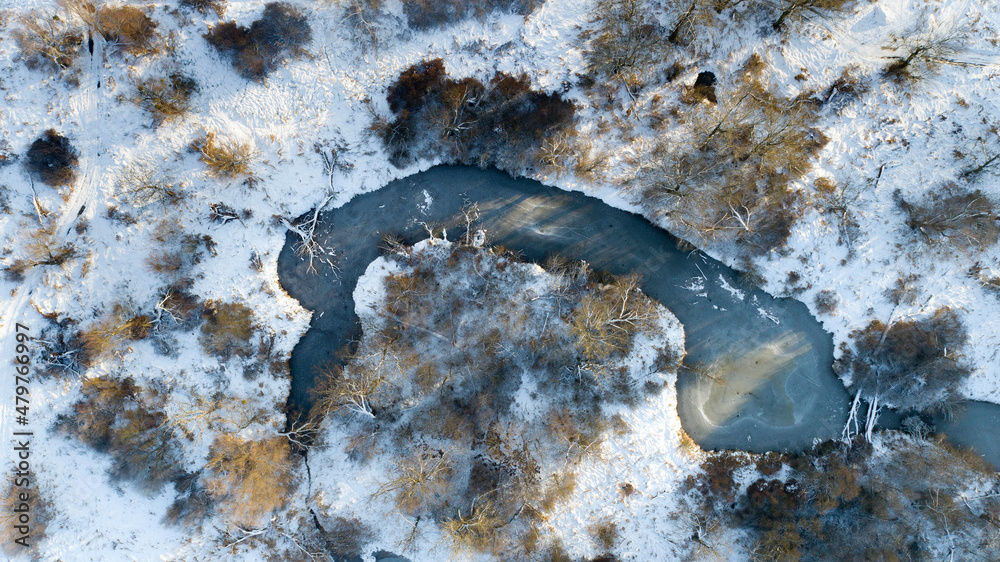Riparian forest on the banks of the Odra River near Wroclaw, Poland