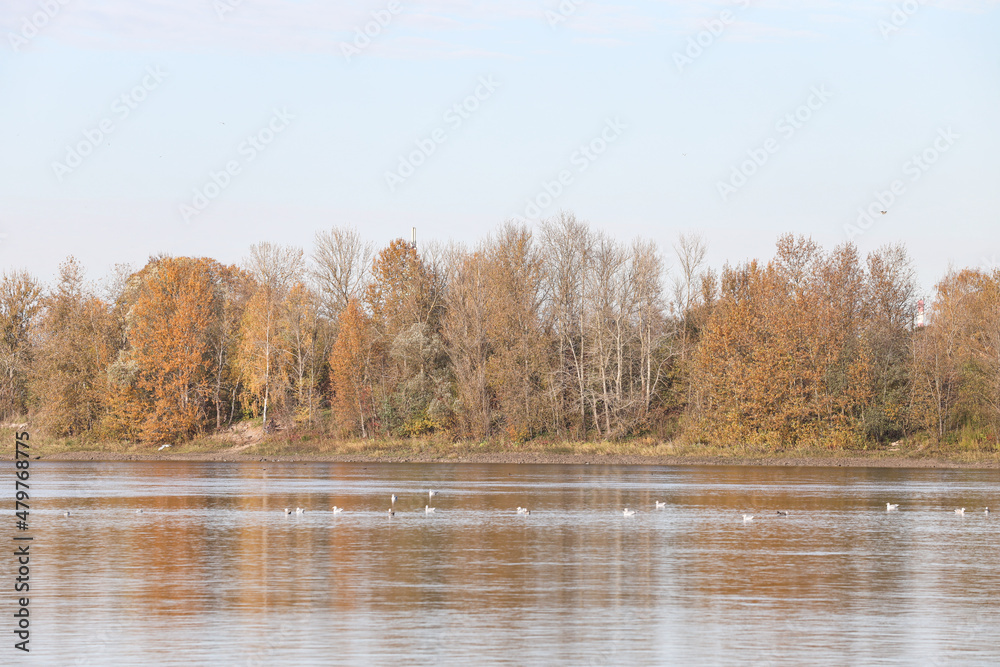 Beautiful nature landscape view with river and autumn trees. Beautiful nature landscape view with river and autumn trees.